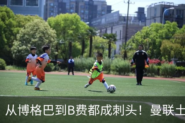 从博格巴到B费都成刺头！曼联土壤有毒，卡里克过得比鸟叔还憋屈